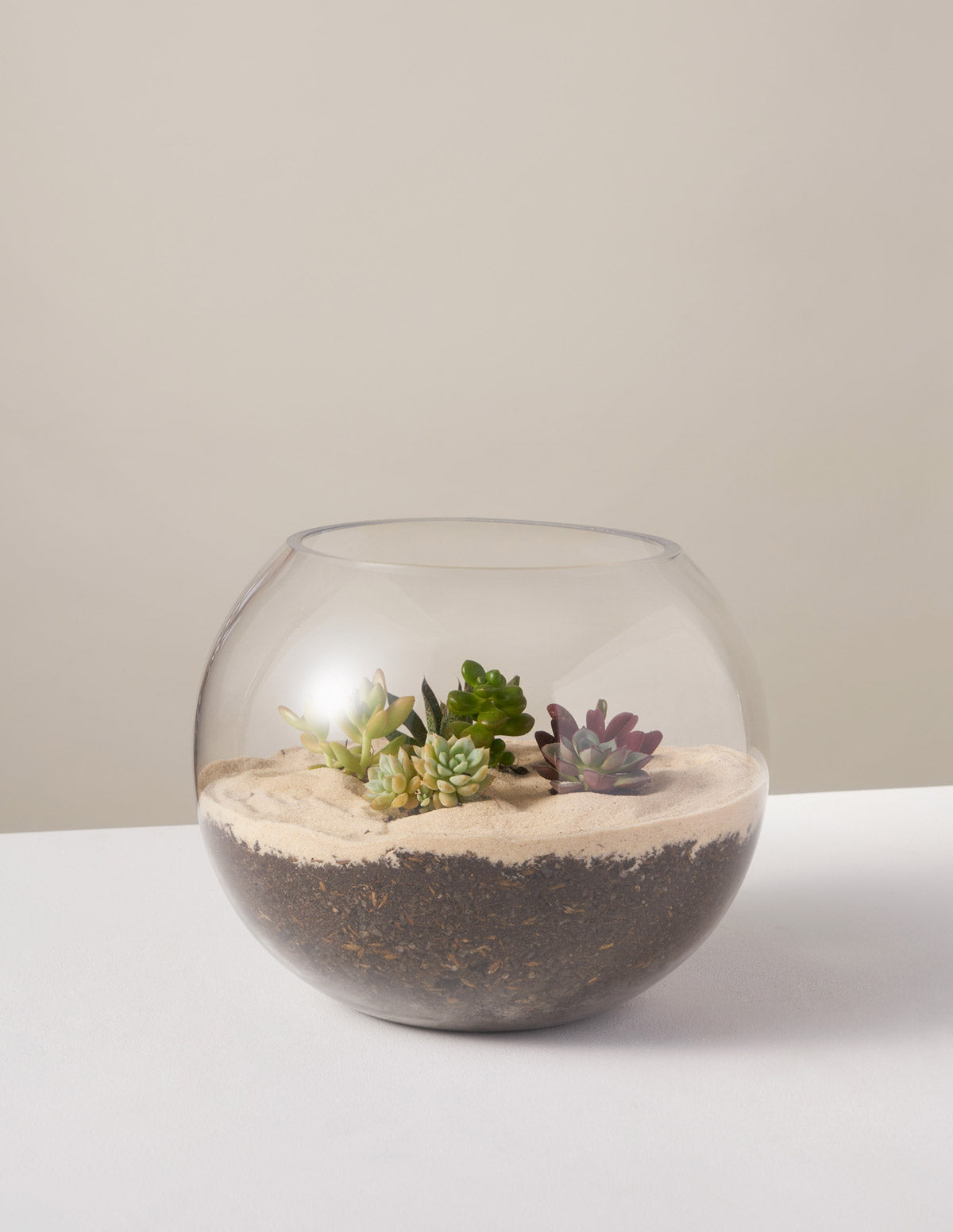 Terrarium Planter