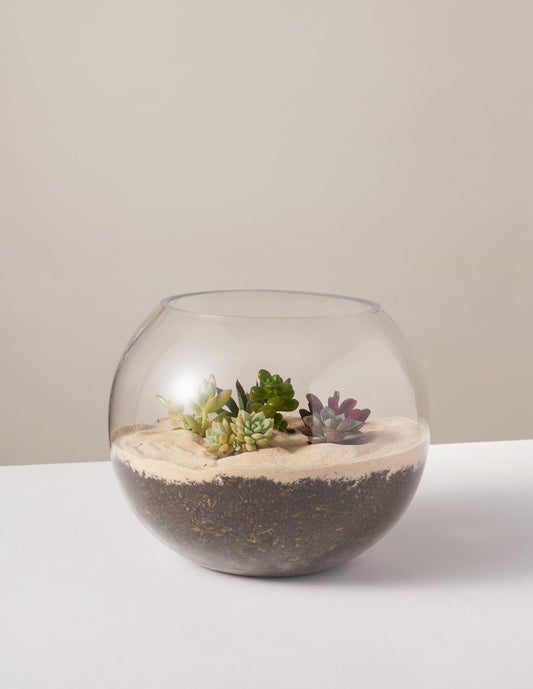 Terrarium Planter